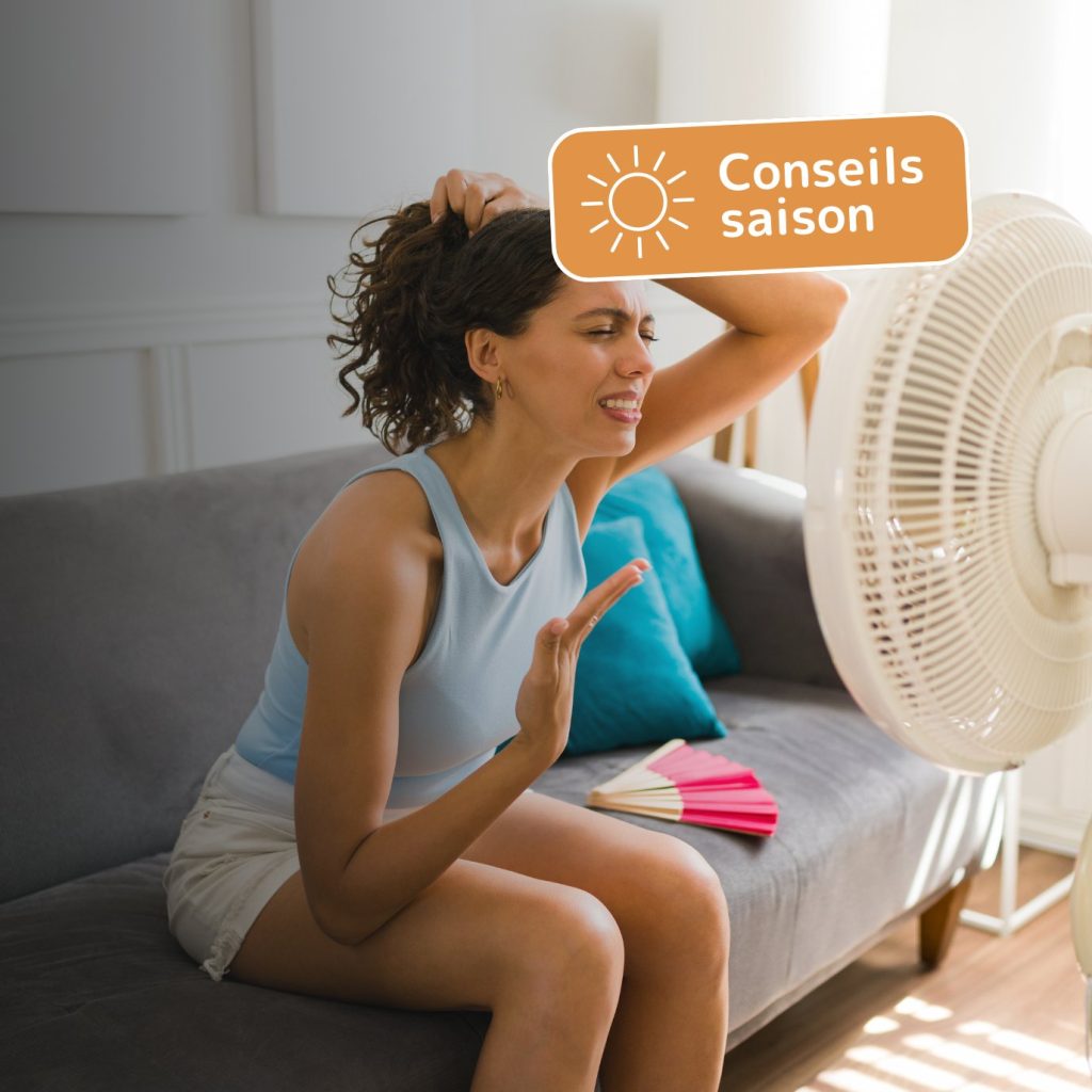 Miniature couverture article Canicule