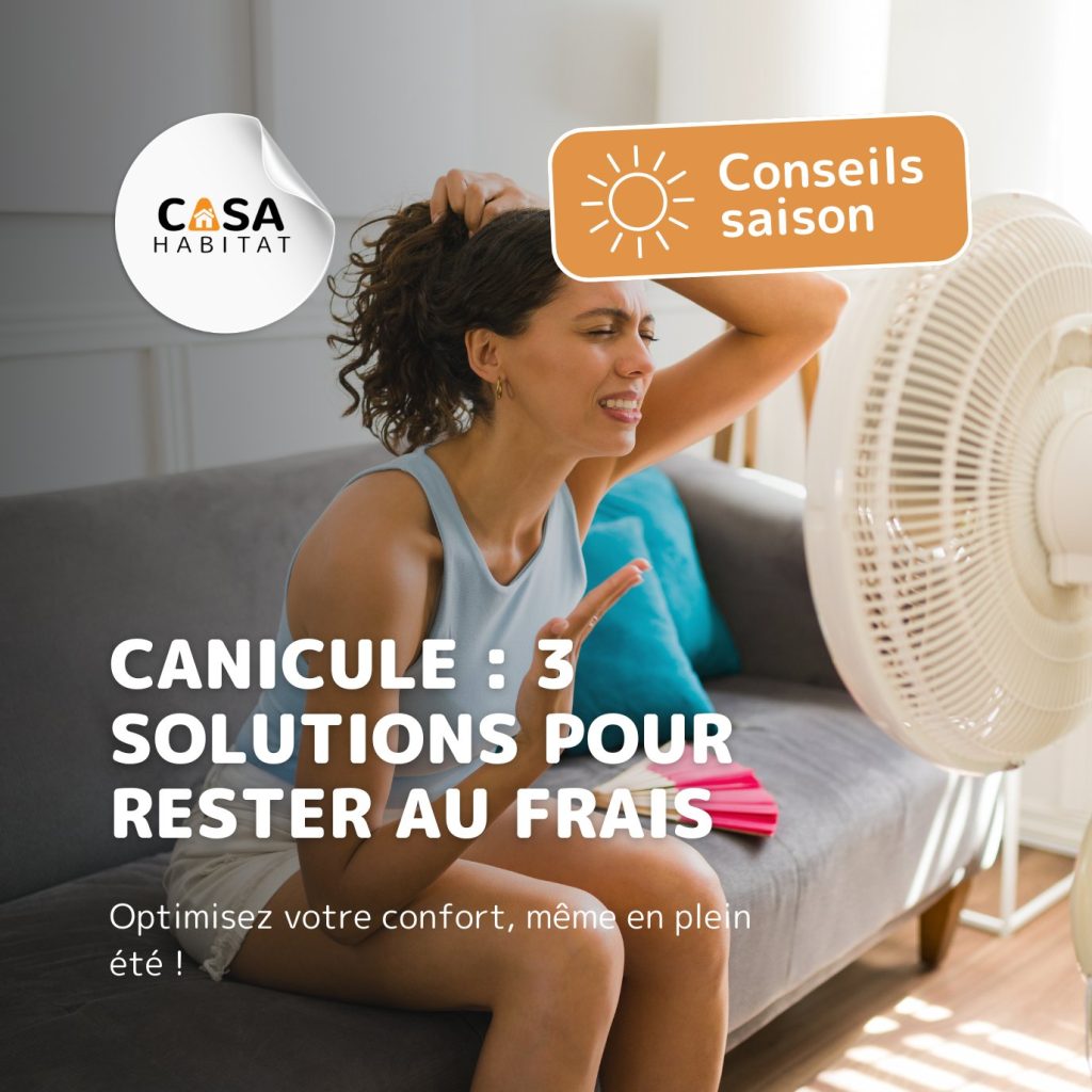 Miniature couverture article Canicule