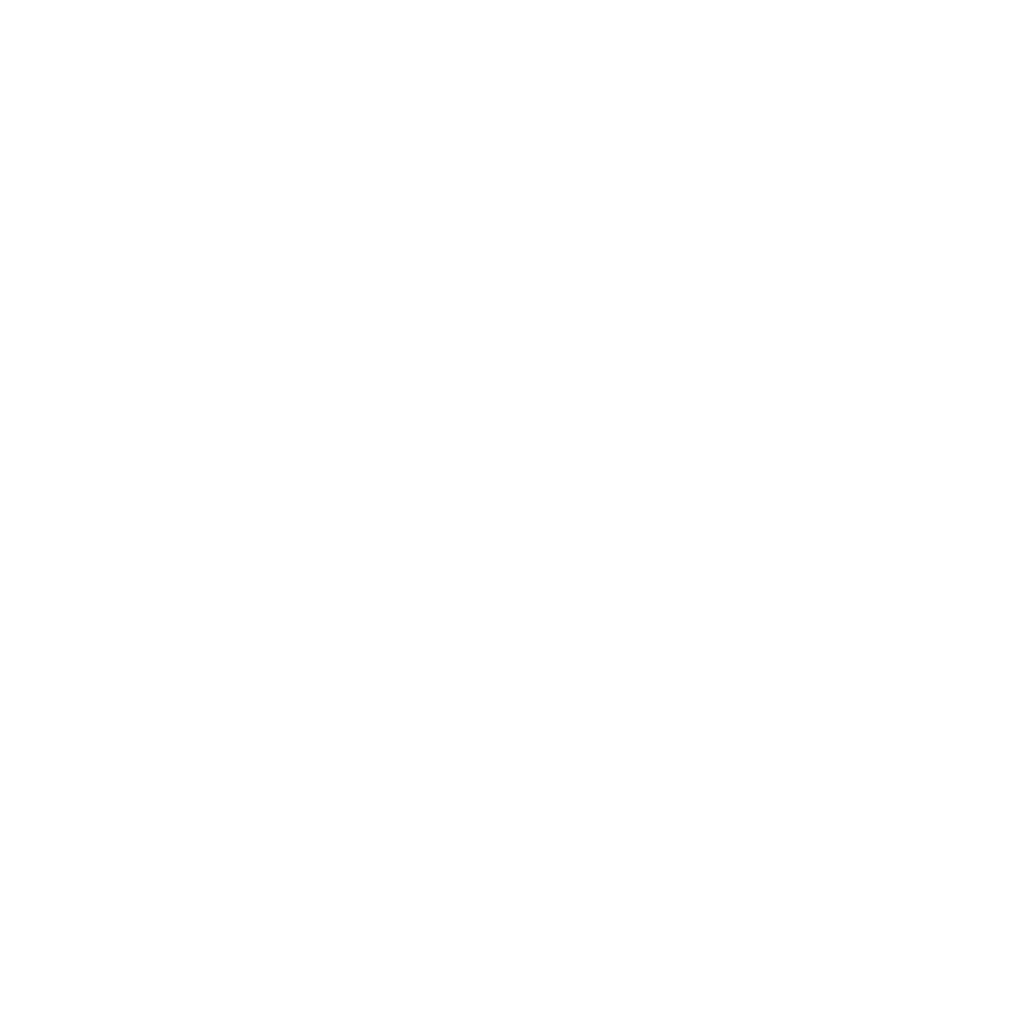 Icône blanche symbolisant un résumé